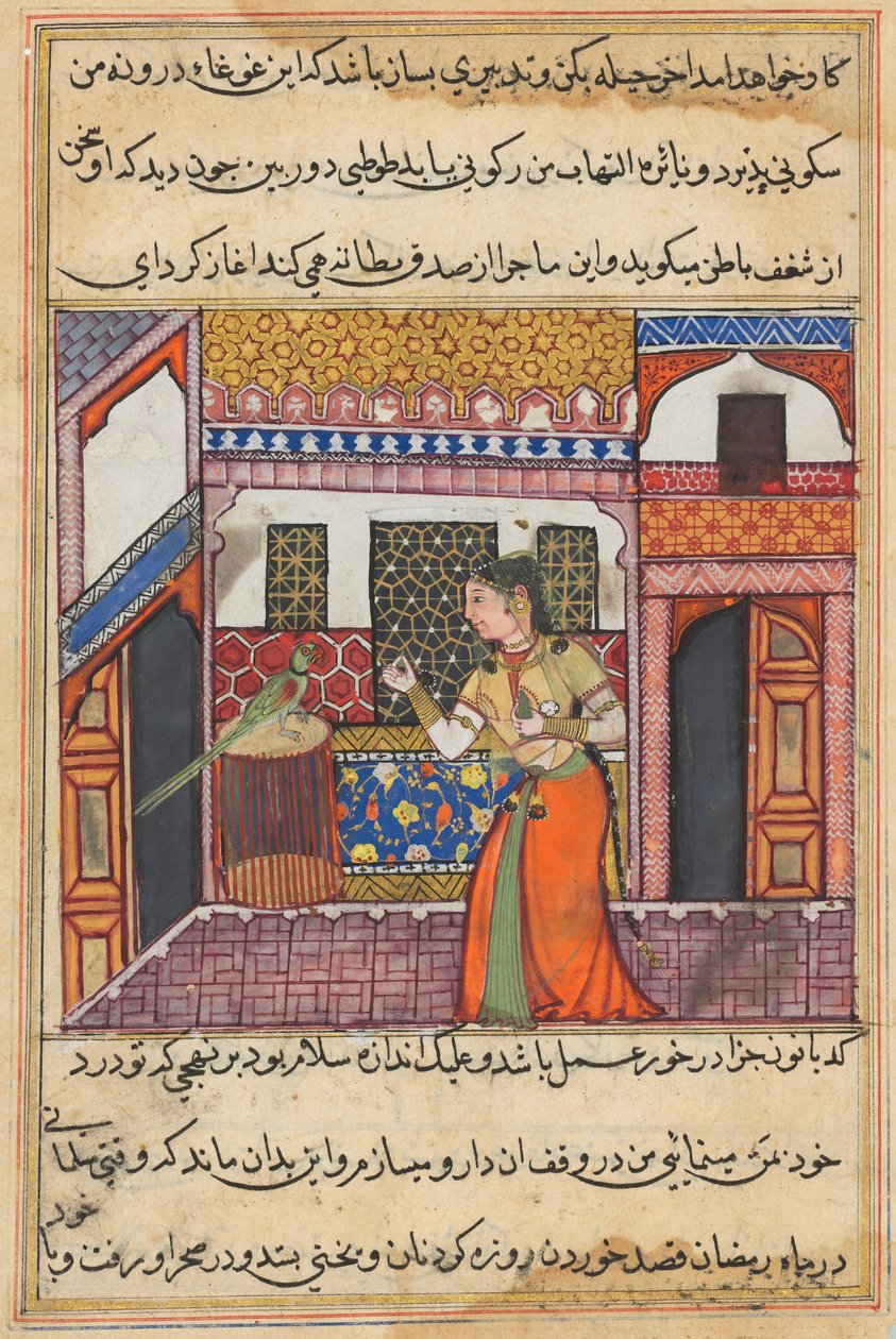 Side fra Tales of a Parrot Tuti-nama: Førti-tredje natt: Papegøyen henvender seg til Khujasta, ca. 1560. av Unbekannt