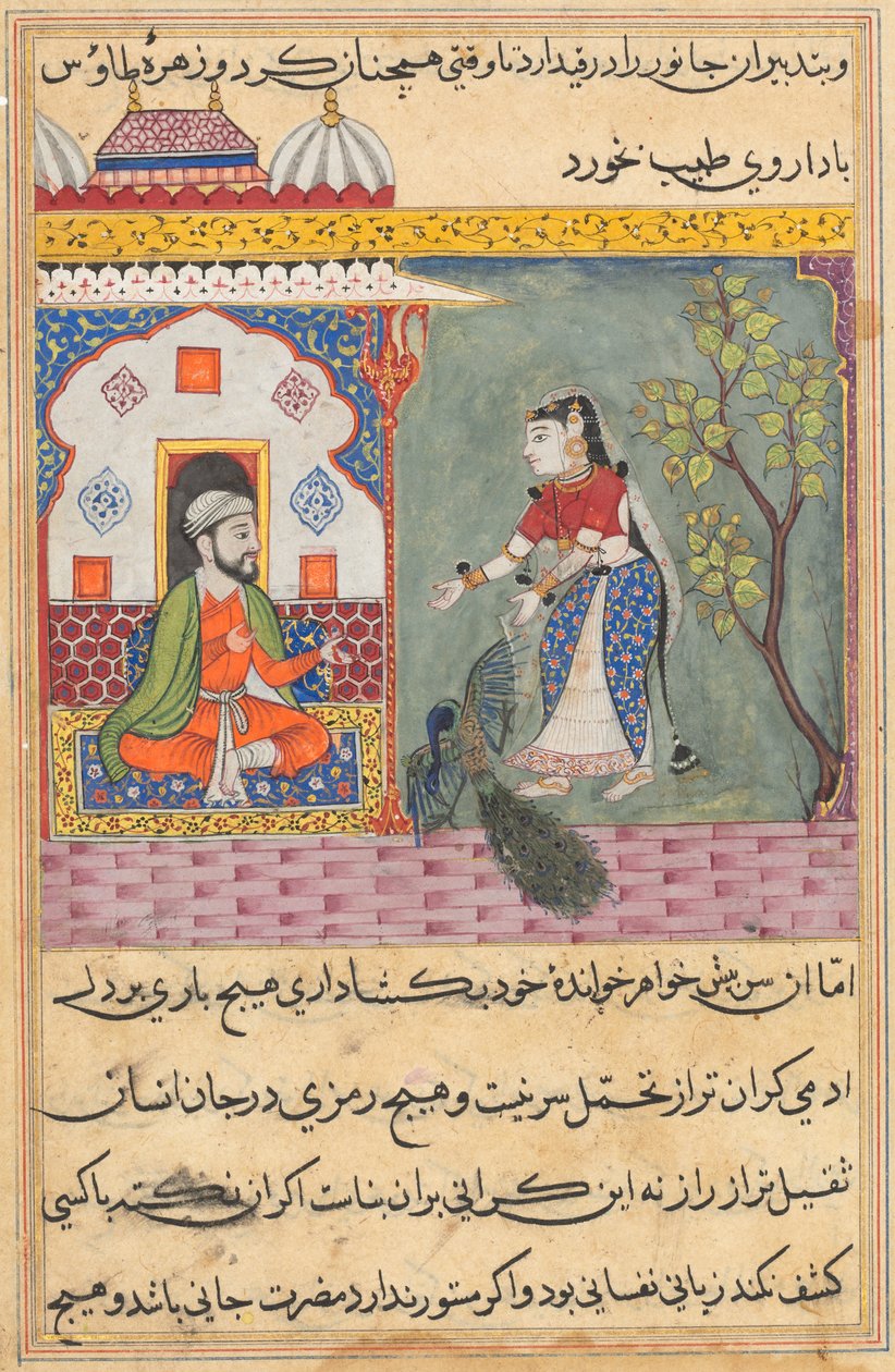 Side fra Tales of a Parrot Tuti-nama: Nittende natt: Brahmans kone..., ca. 1560. av Unbekannt
