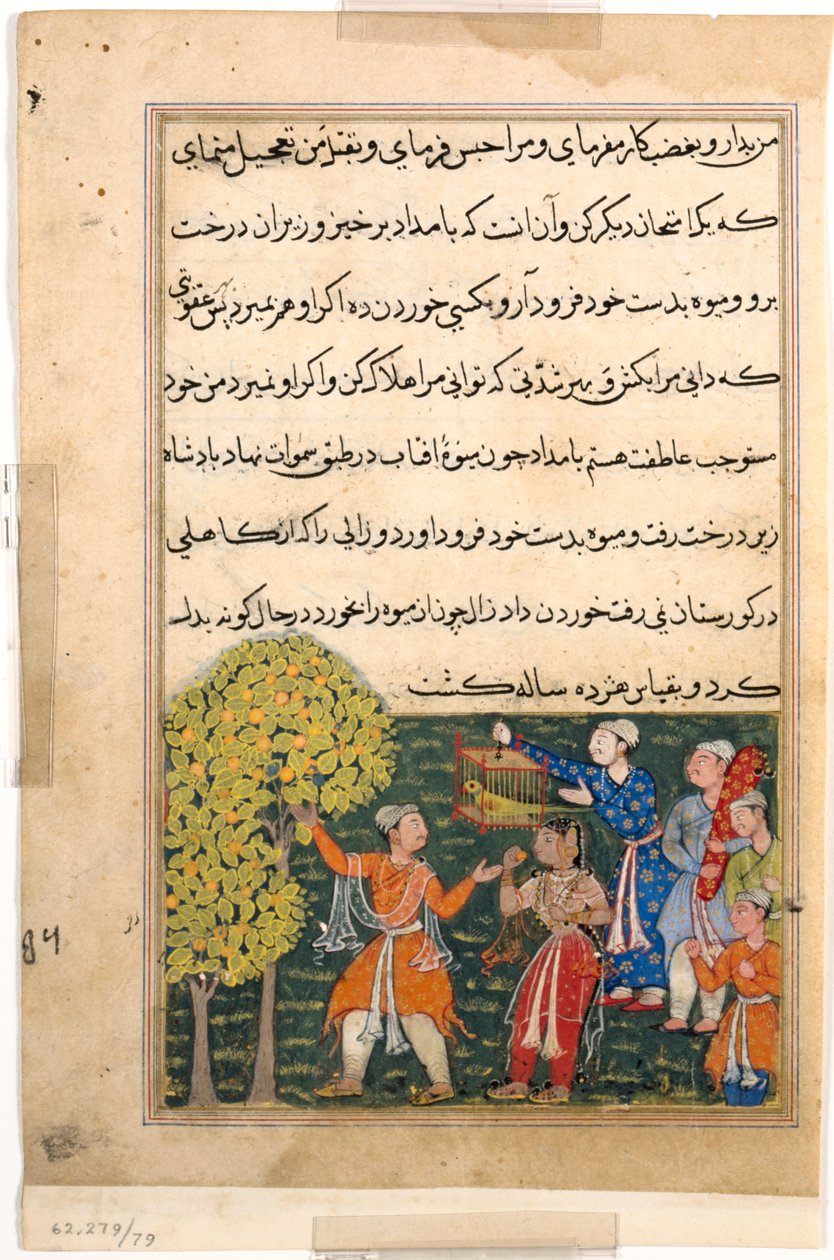 Side fra Tales of a Parrot Tuti-nama: Niende natt: Kongen plukker frukt fra treet..., ca. 156 av Unbekannt