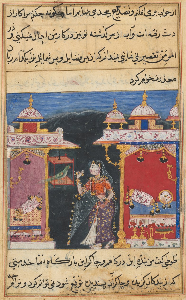 Side fra Tales of a Parrot Tuti-nama: Syvende natt: Papegøyen henvender seg til Khujasta..., ca. 1560. av Unbekannt