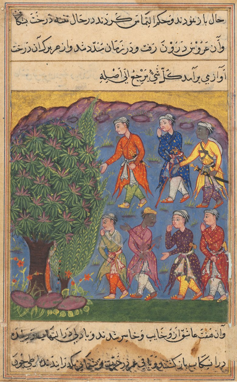 Side fra Tales of a Parrot Tuti-nama: Sjette natt: Syv menn som bestrider besittelse..., ca. 1560. av Unbekannt