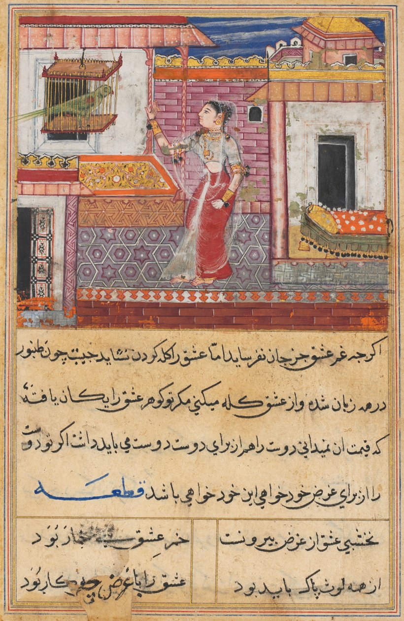 Side fra Tales of a Parrot Tuti-nama: Trettende natt: Papegøyen henvender seg til Khujasta..., ca. 1560 av Unbekannt