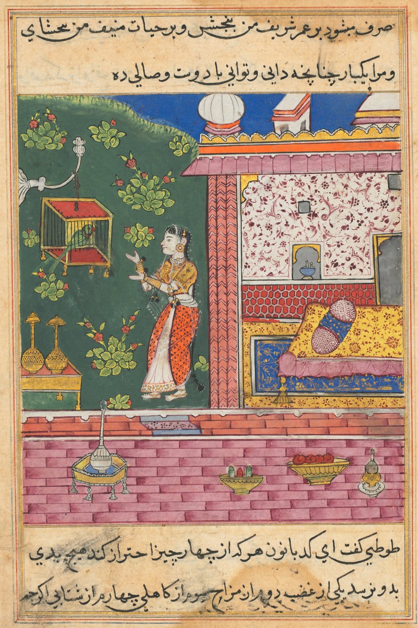 Side fra Tales of a Parrot Tuti-nama: Trettiende natt: Papegøyen henvender seg til Khujasta..., ca. 1560. av Unbekannt