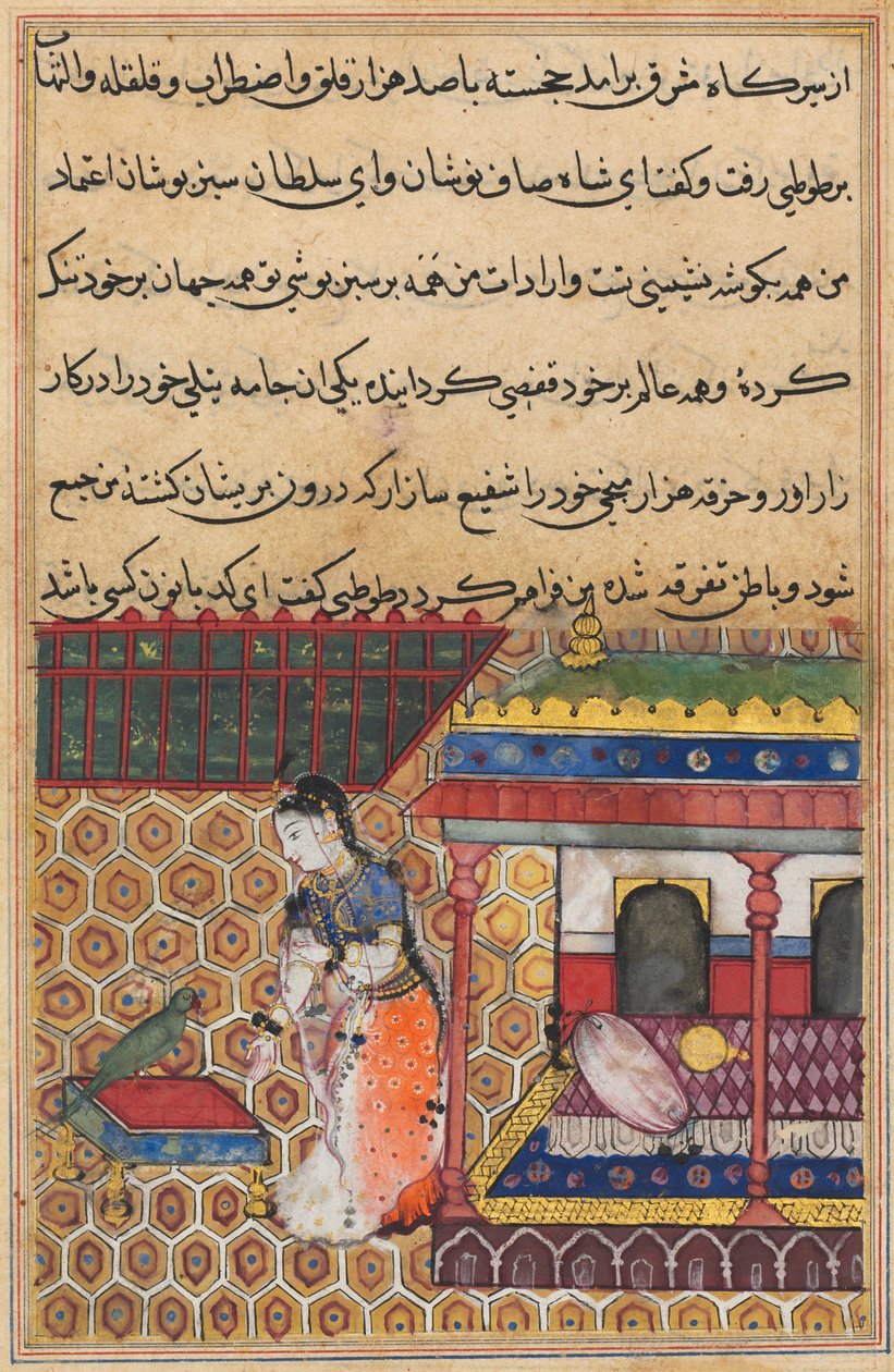 Side fra Tales of a Parrot Tuti-nama: Trettiåtte natt: Papegøyen henvender seg til Khujasta, c1560. av Unbekannt