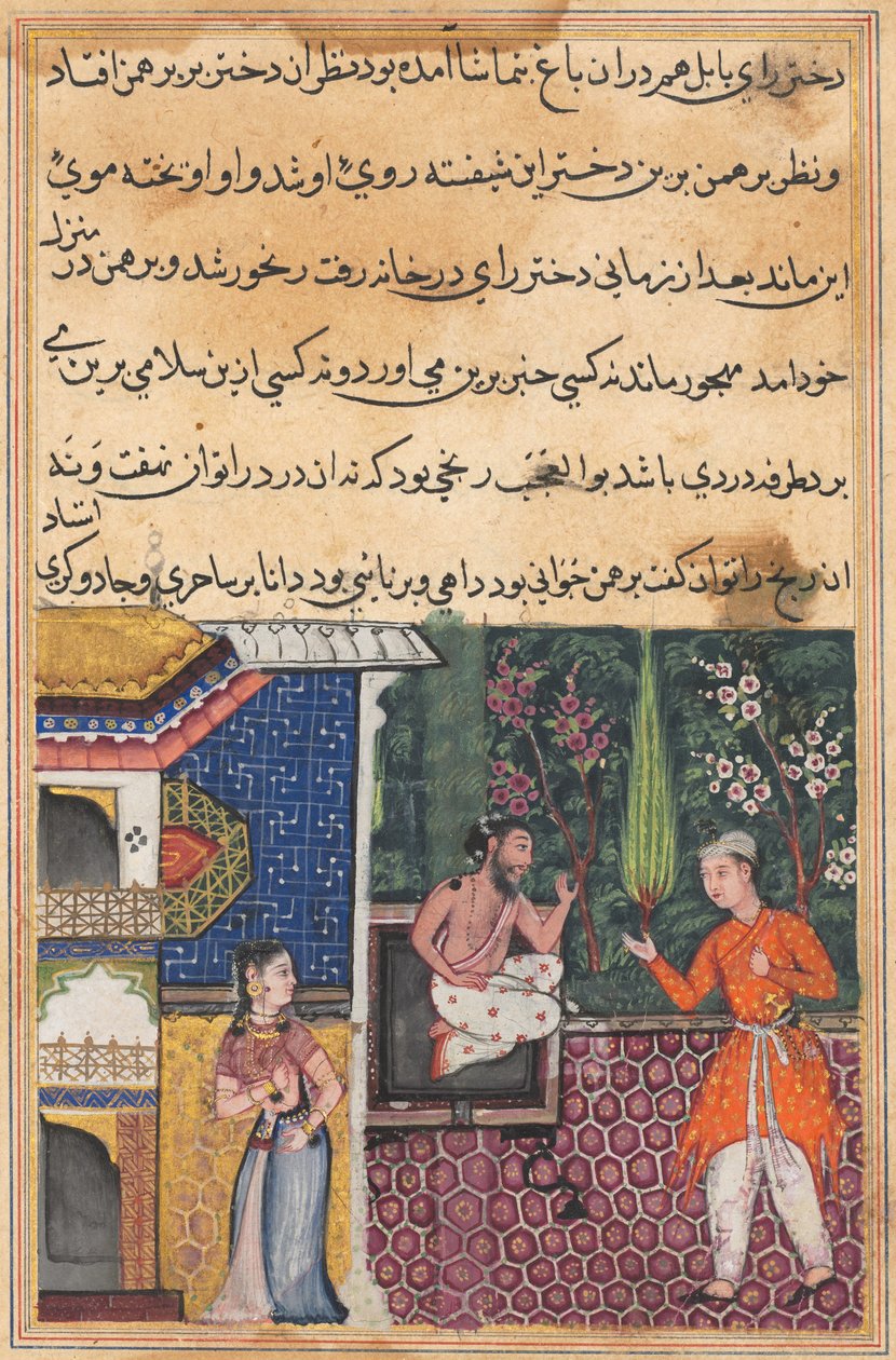 Side fra Tales of a Parrot Tuti-nama: Trettifemte natt: Brahmanen gir..., ca. 1560. av Unbekannt