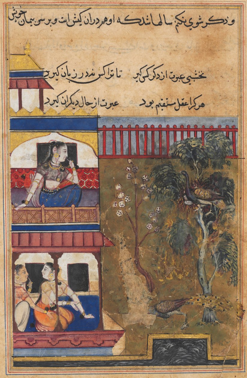 Side fra Tales of a Parrot Tuti-nama: Trettiniende natt: Dronningen av Rum..., ca. 1560. av Unbekannt
