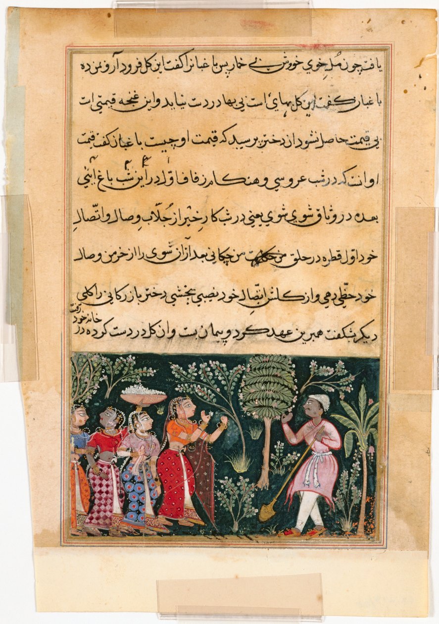 Side fra Tales of a Parrot Tuti-nama: Tolvte natt: Kjøpmannens datter..., ca. 1560. av Unbekannt