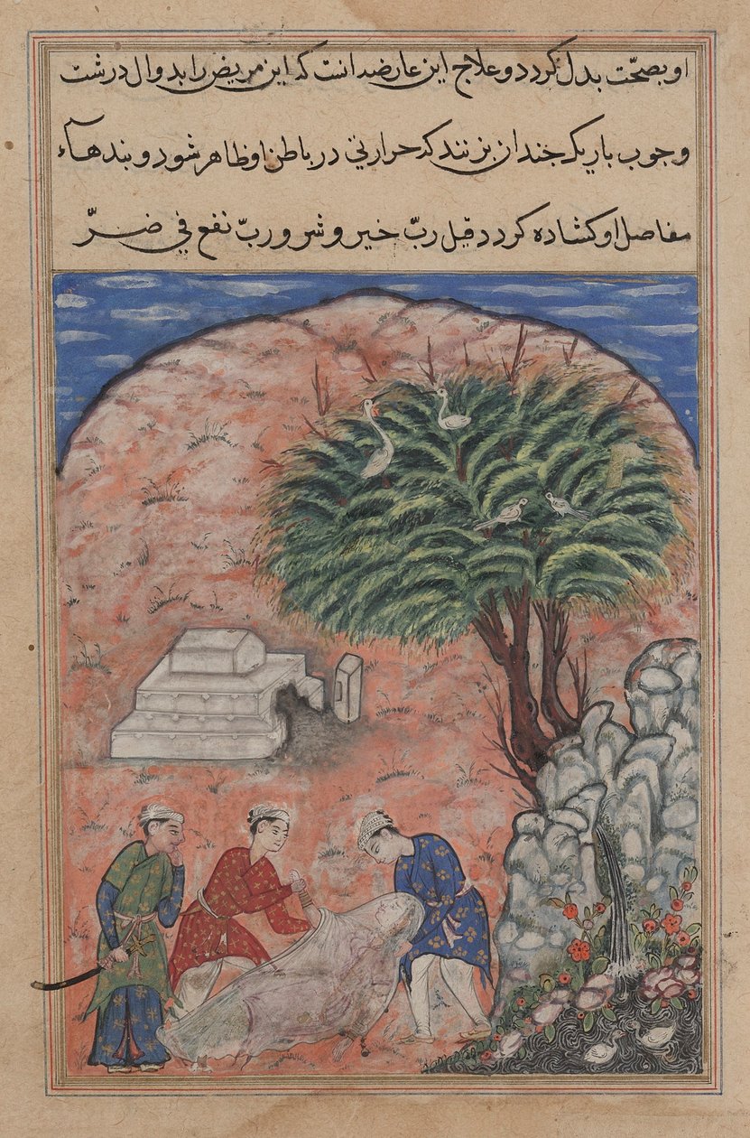 Side fra Tales of a Parrot Tuti-nama: Tjuende natt: Frierne tar..., ca. 1560. av Unbekannt