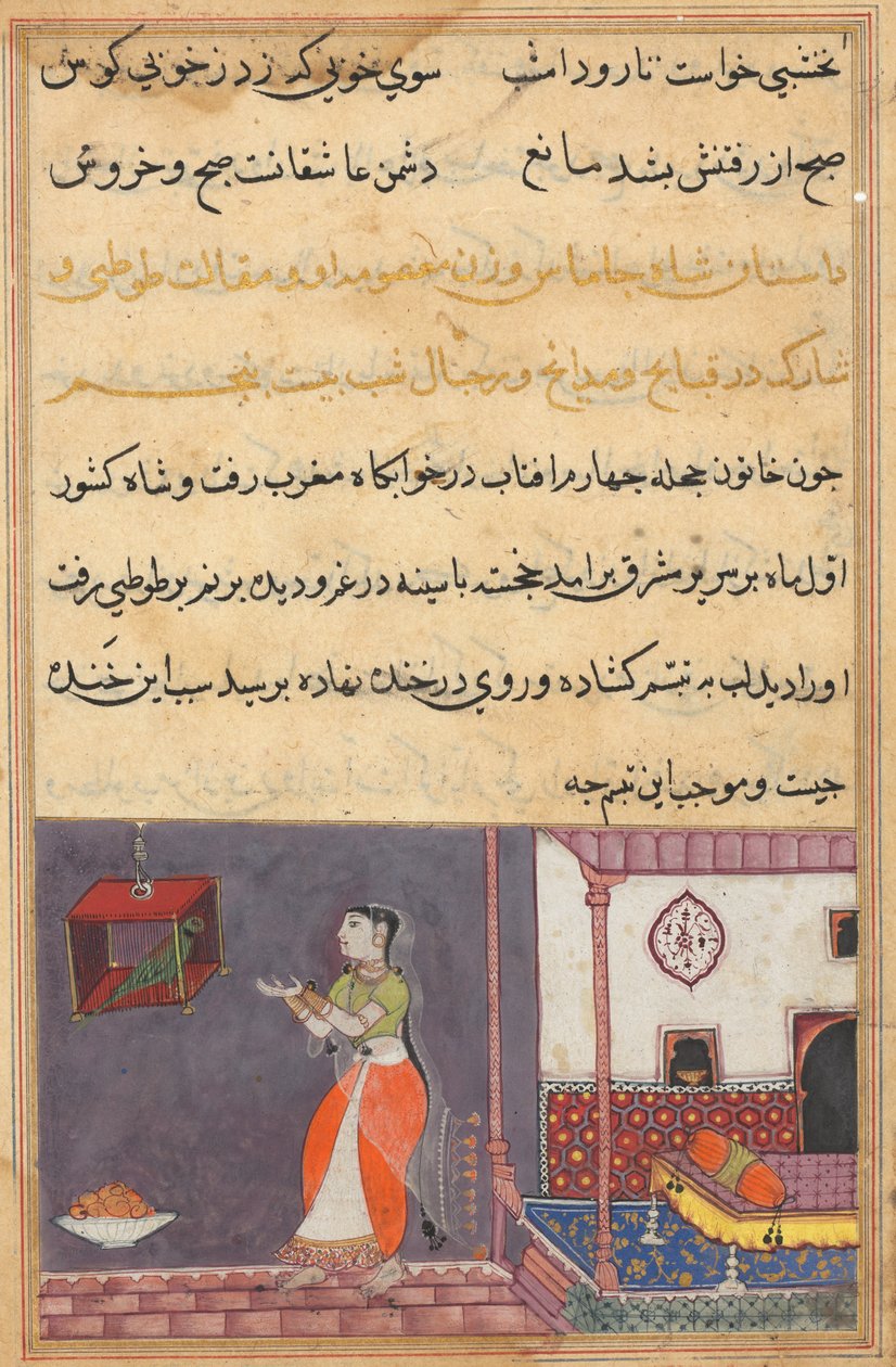 Side fra Tales of a Parrot Tuti-nama: Tjuefemte natt: Papegøyen henvender seg til Khujasta..., c1560 av Unbekannt