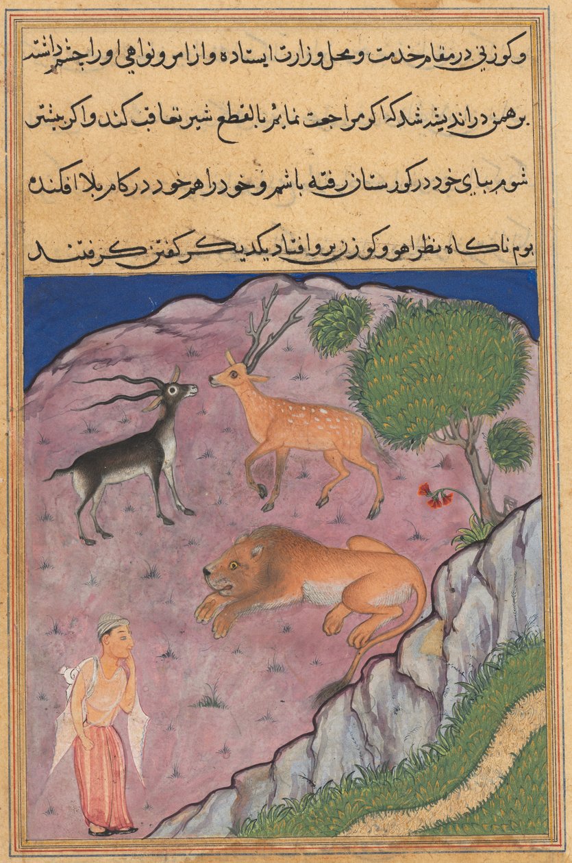 Side fra Tales of a Parrot Tuti-nama: Twenty-first night: The Brahman..., ca. 1560. av Unbekannt