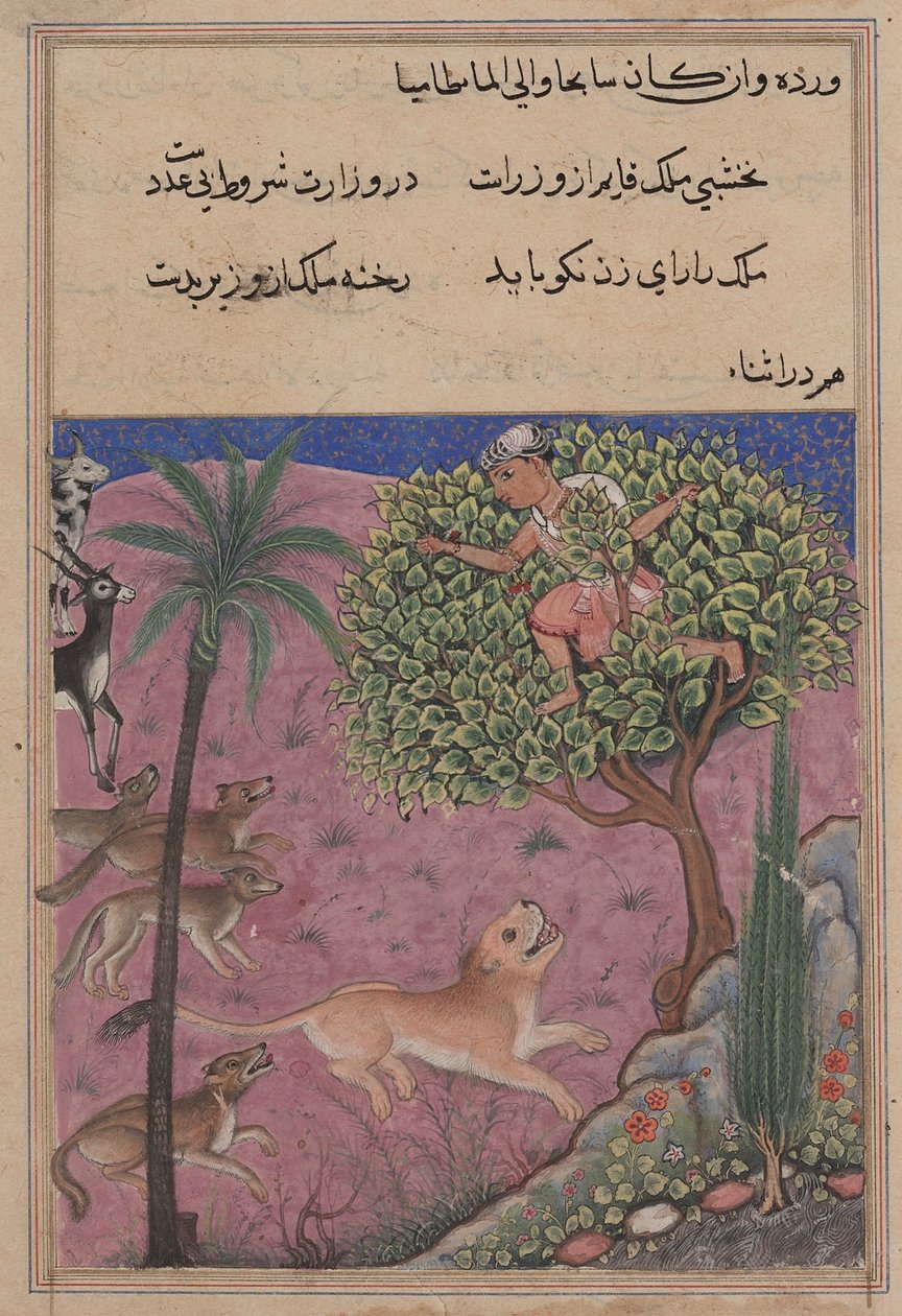 Side fra Tales of a Parrot Tuti-nama: Tjueførste natt: Ulven og sjakalen..., ca. 1560. av Unbekannt