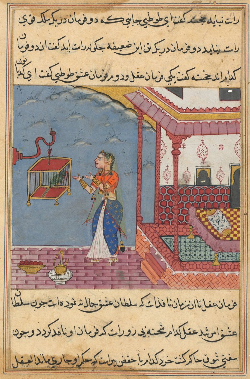 Side fra Tales of a Parrot Tuti-nama: Tjuefjerde natt: Papegøyen..., ca. 1560. av Unbekannt