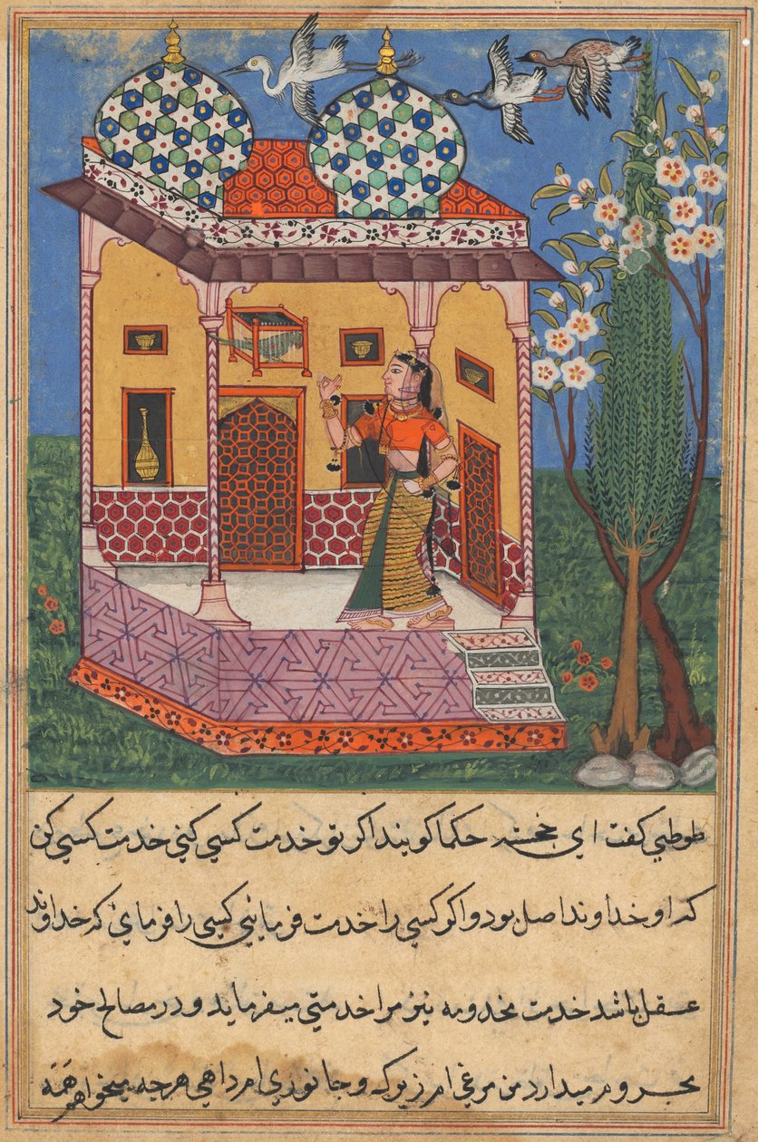 Side fra Tales of a Parrot Tuti-nama: 26. natt: Papegøyen henvender seg til Khujasta..., c1560 av Unbekannt