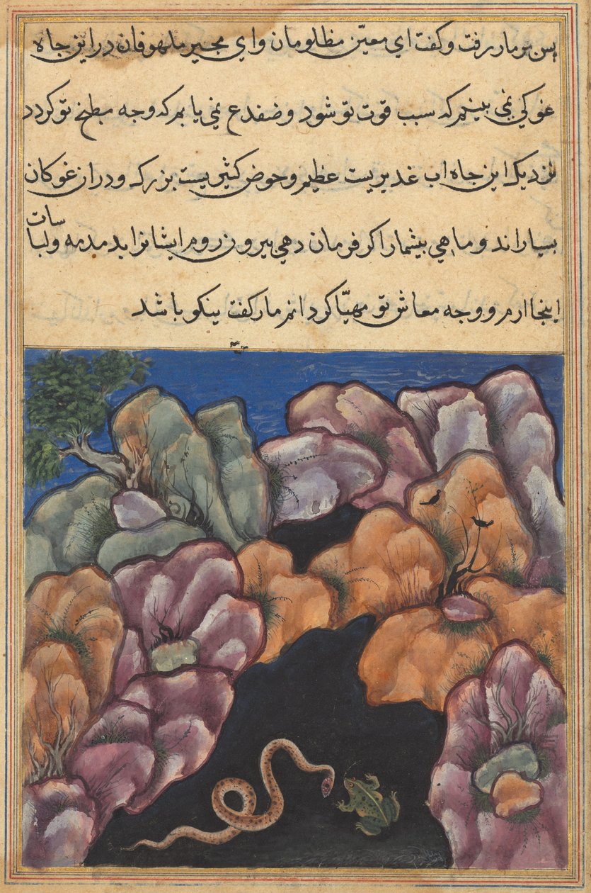 Side fra Tales of a Parrot Tuti-nama: Tjuesette natt: Slangen kommer inn..., ca. 1560. av Unbekannt