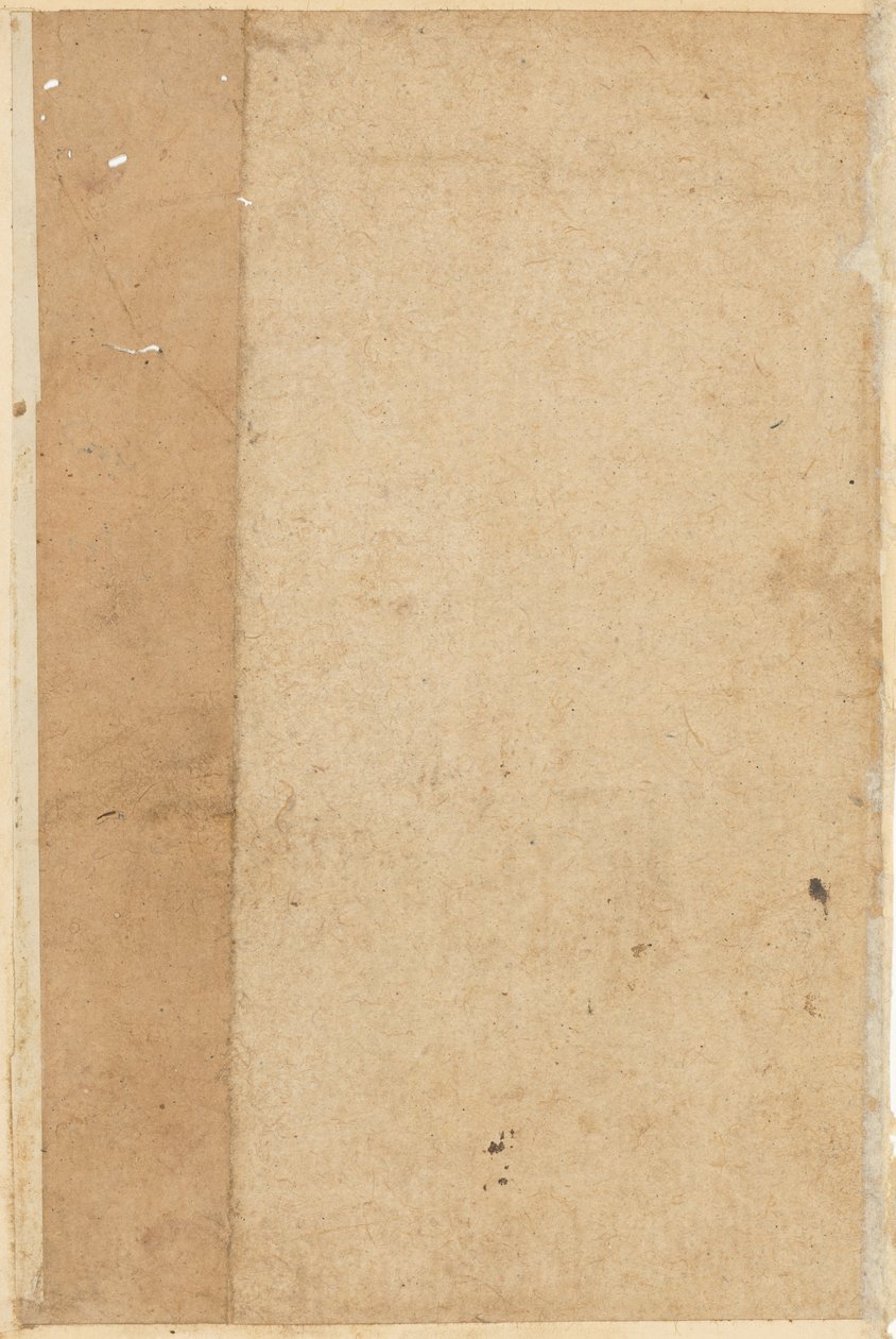 Side fra Tales of a Parrot Tuti-nama: blank side, ca. 1560. av Unbekannt