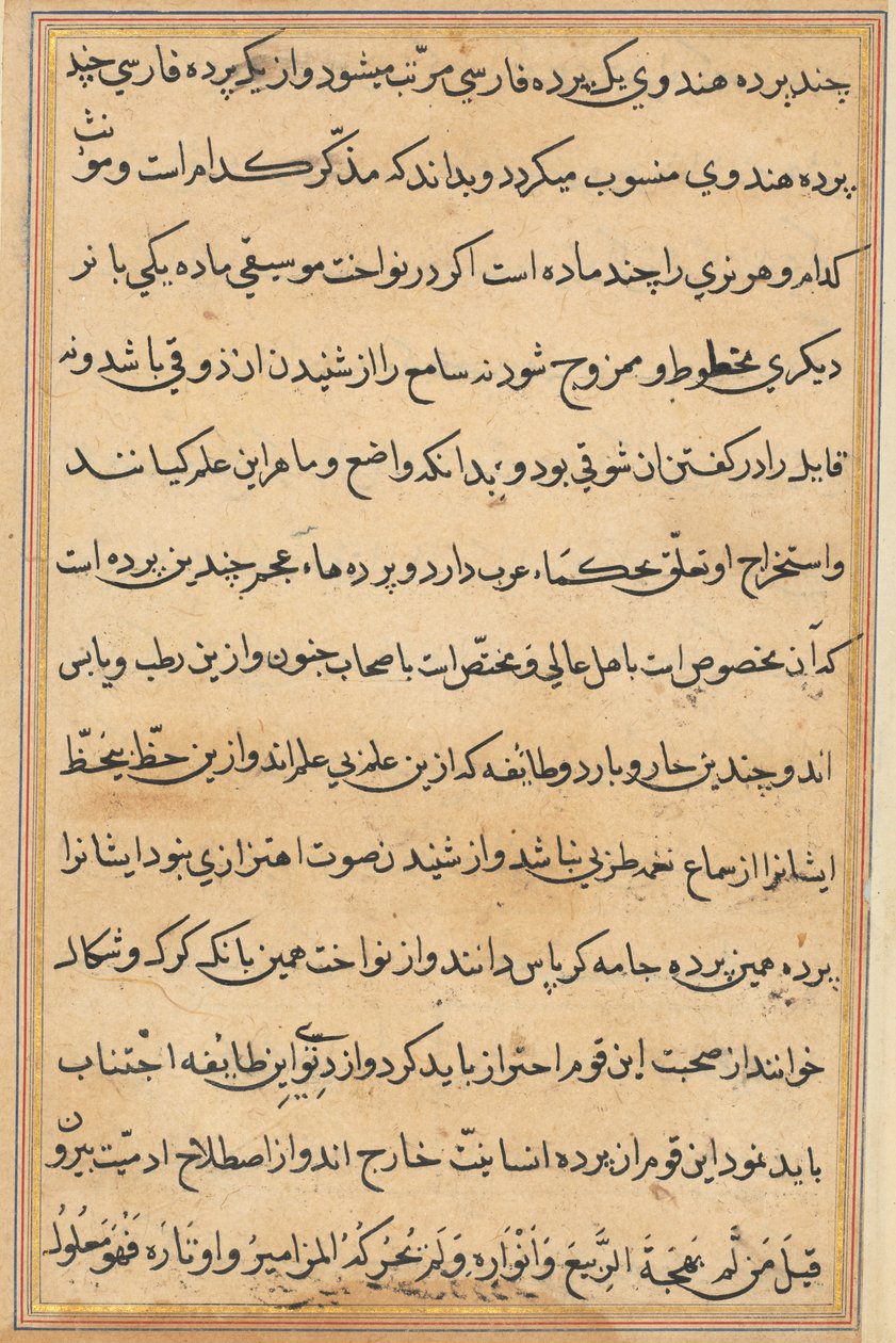 Side fra Tales of a Parrot Tuti-nama: tekstside, c1560. av Unbekannt