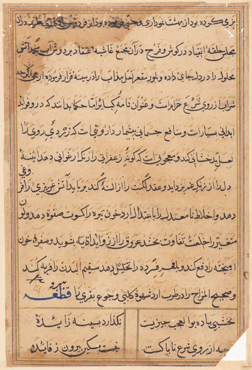 Side fra Tales of a Parrot Tuti-nama: tekstside, ca. 1560. av Unbekannt