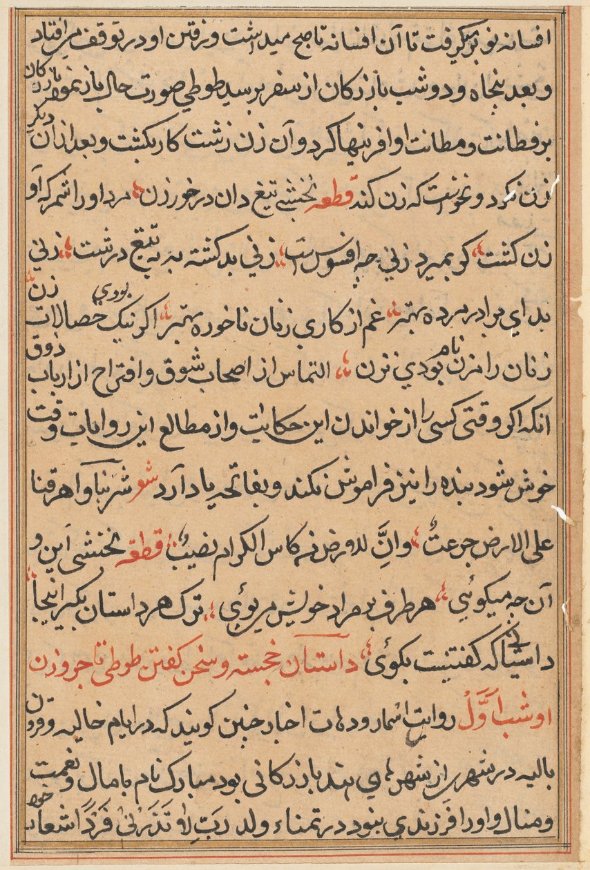 Side fra Tales of a Parrot Tuti-nama: tekstside, ca. 1560. av Unbekannt
