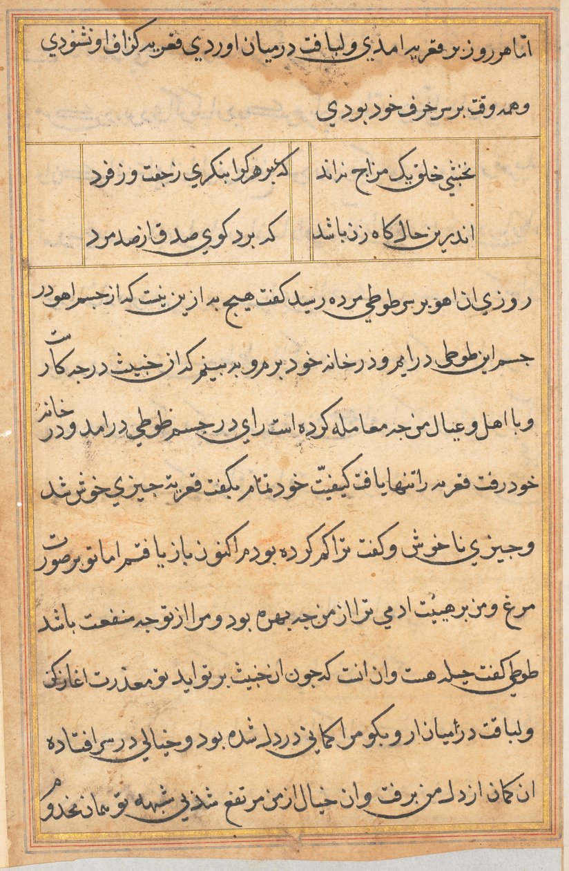 Side fra Tales of a Parrot Tuti-nama: tekstside, ca. 1560. av Unbekannt
