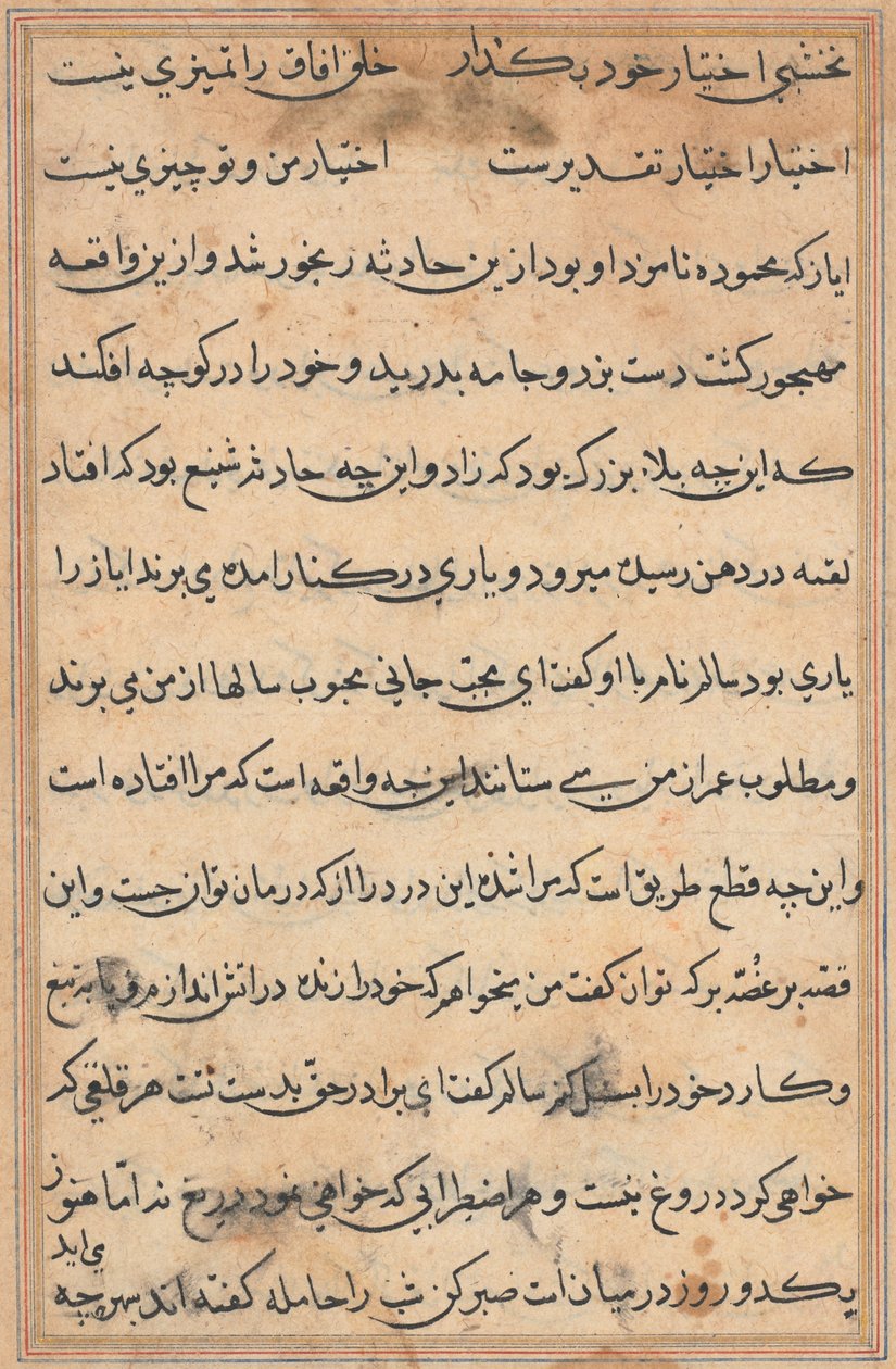 Side fra Tales of a Parrot Tuti-nama: tekstside, ca. 1560. av Unbekannt