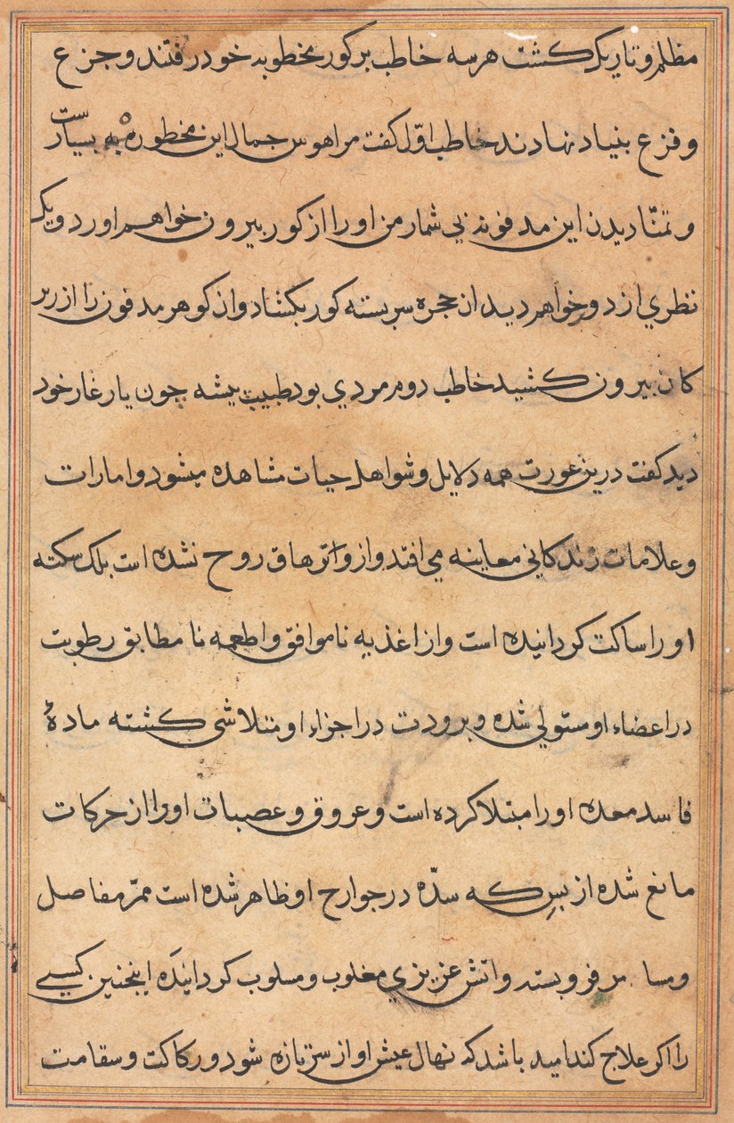 Side fra Tales of a Parrot Tuti-nama: tekstside, ca. 1560. av Unbekannt