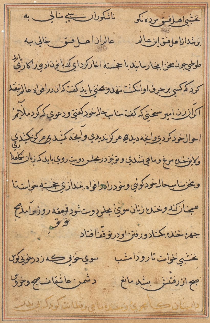 Side fra Tales of a Parrot Tuti-nama: tekstside, ca. 1560. av Unbekannt
