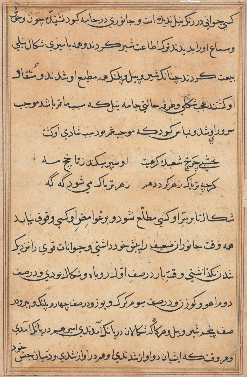 Side fra Tales of a Parrot Tuti-nama: tekstside, ca. 1560. av Unbekannt