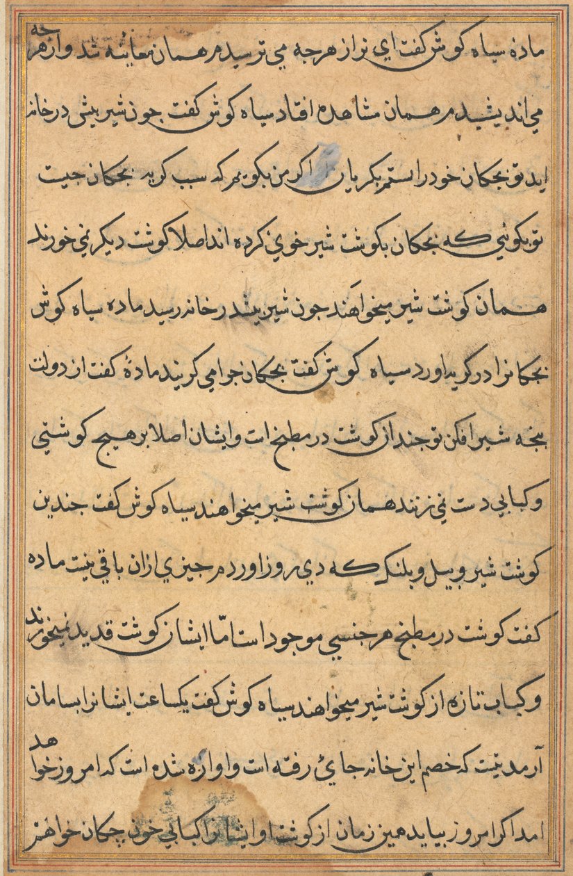 Side fra Tales of a Parrot Tuti-nama: tekstside, ca. 1560. av Unbekannt