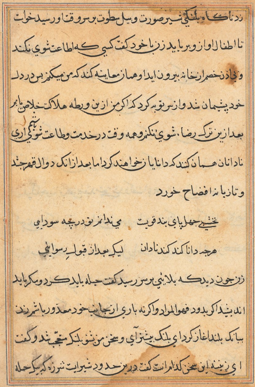 Side fra Tales of a Parrot Tuti-nama: tekstside, ca. 1560. av Unbekannt