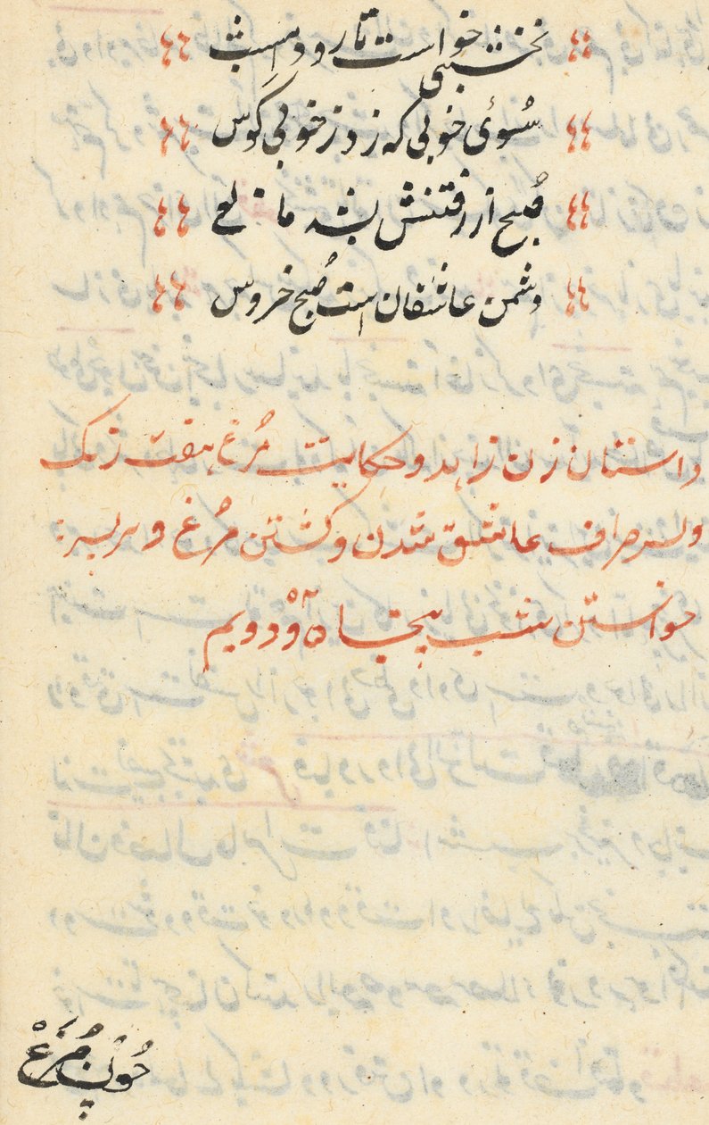 Side fra Tales of a Parrot Tuti-nama: tekstside, ca. 1560. av Unbekannt