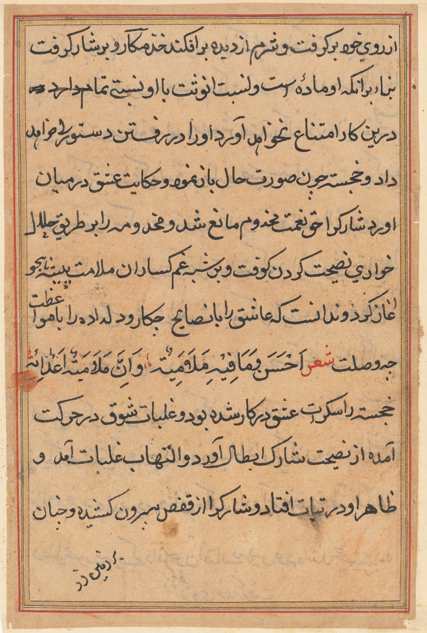 Side fra Tales of a Parrot Tuti-nama: tekstside, ca. 1560. av Unbekannt