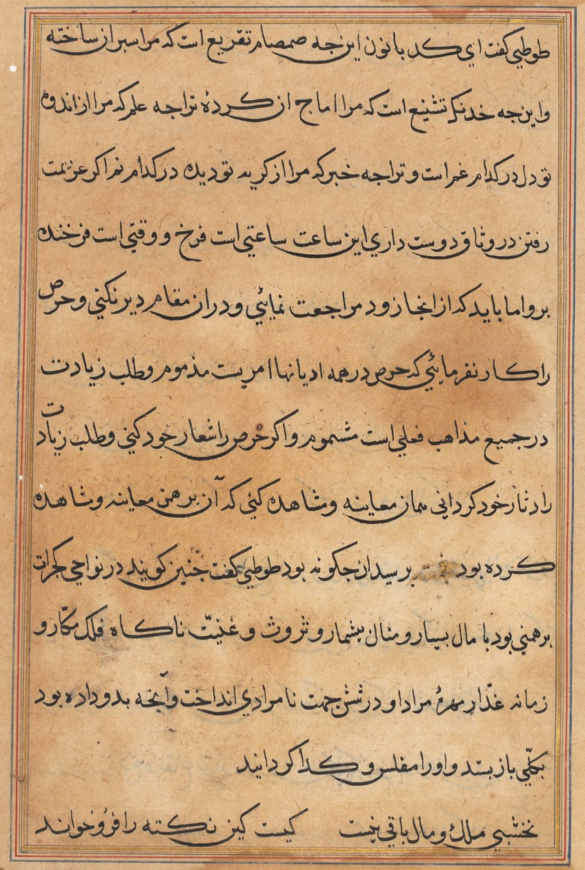 Side fra Tales of a Parrot Tuti-nama: tekstside, ca. 1560. av Unbekannt