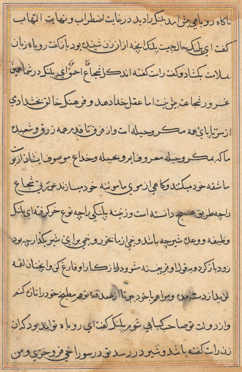 Side fra Tales of a Parrot Tuti-nama: tekstside, ca. 1560. av Unbekannt