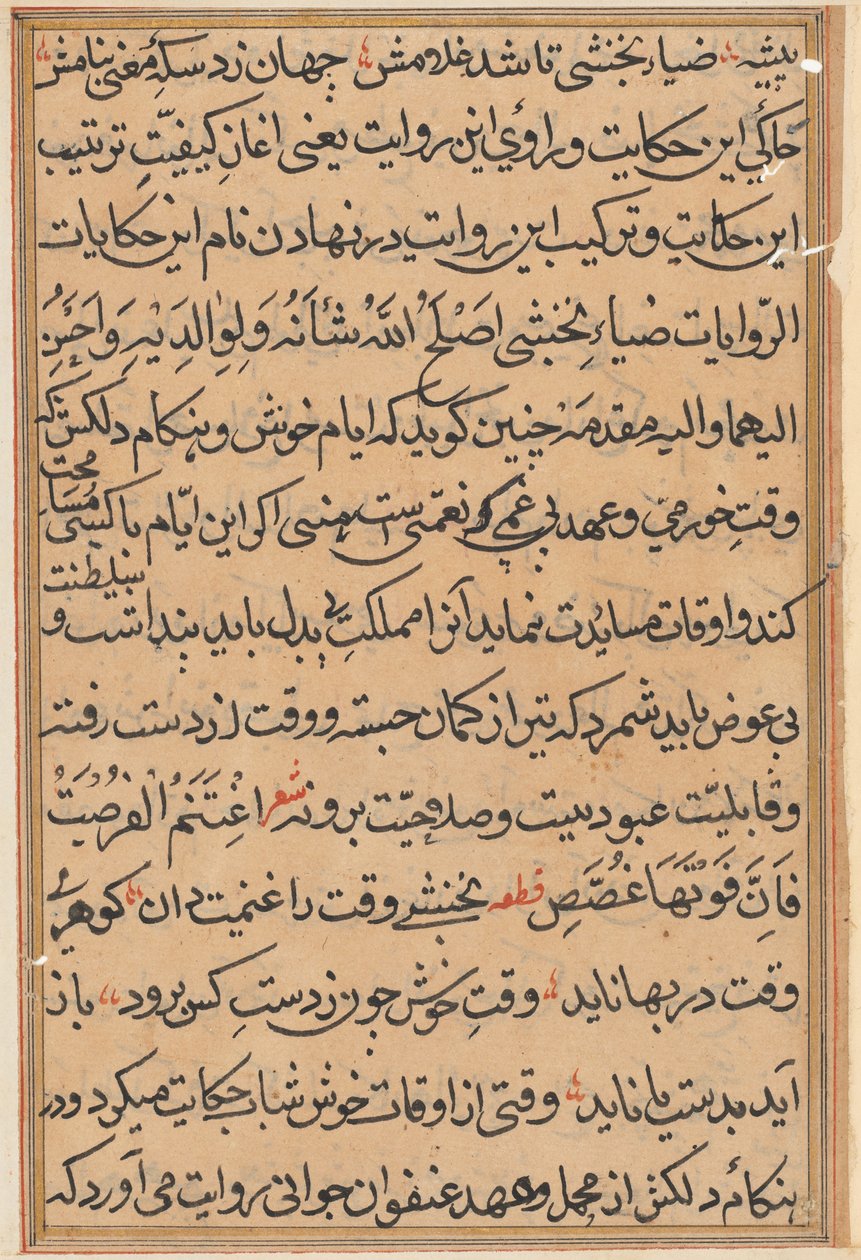 Side fra Tales of a Parrot Tuti-nama: tekstside, ca. 1560. av Unbekannt