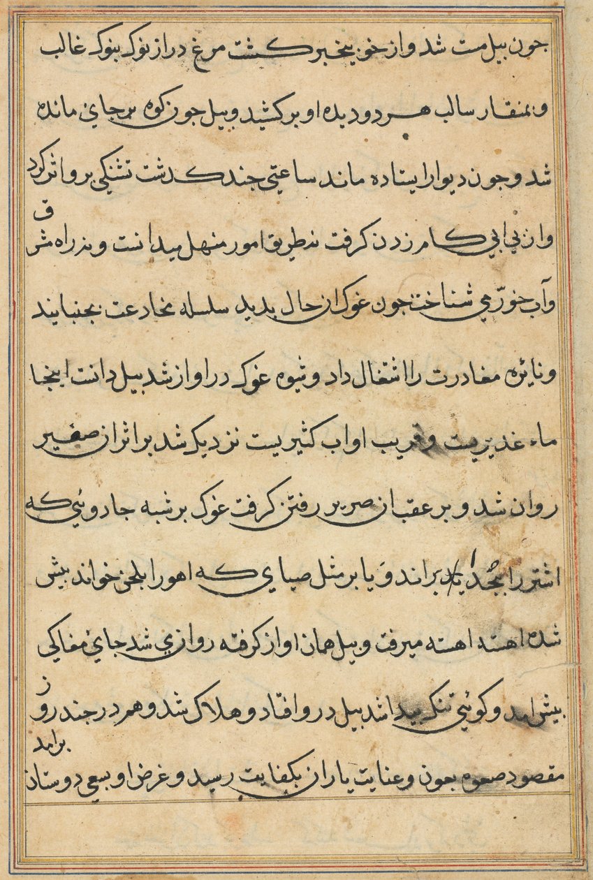 Side fra Tales of a Parrot Tuti-nama: tekstside, ca. 1560. av Unbekannt