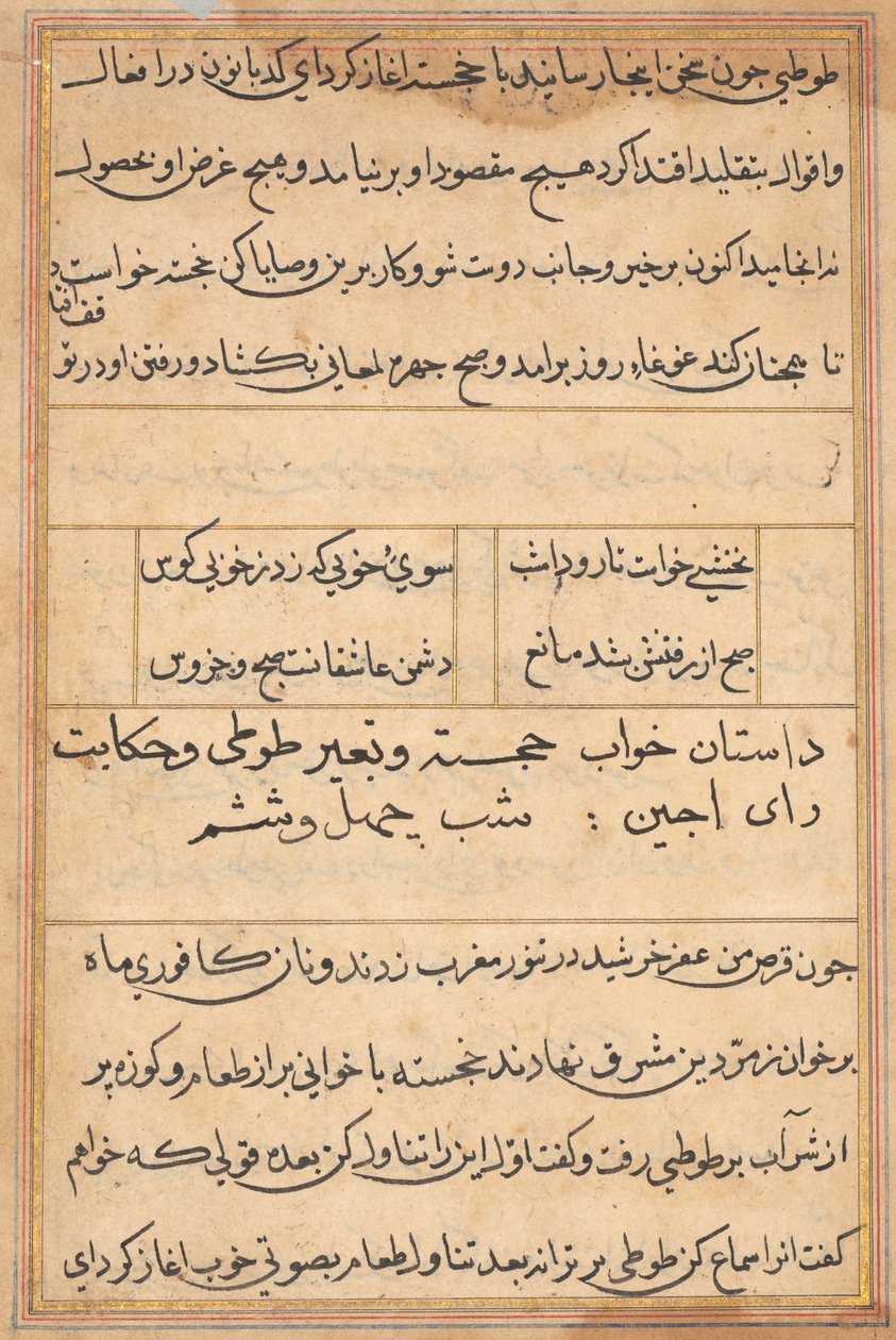 Side fra Tales of a Parrot Tuti-nama: tekstside, ca. 1560. av Unbekannt