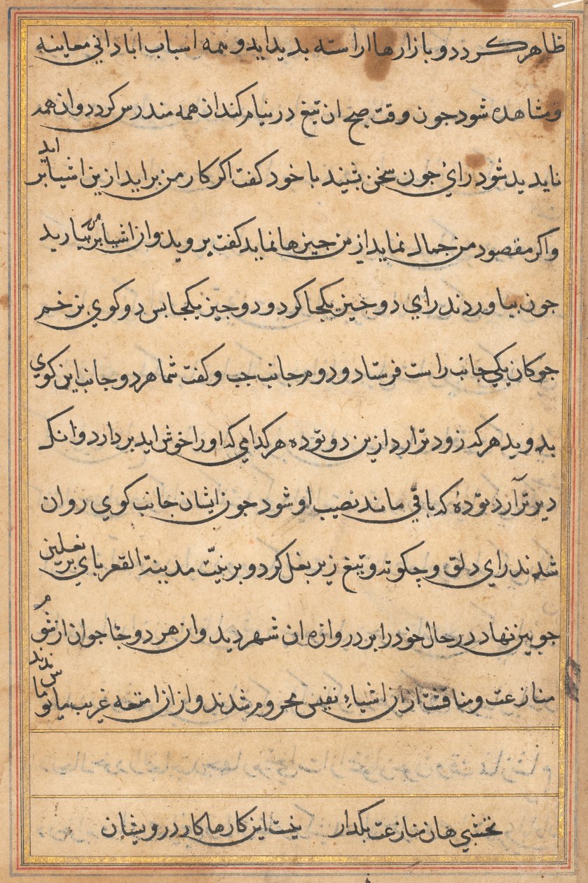 Side fra Tales of a Parrot Tuti-nama: tekstside, ca. 1560. av Unbekannt