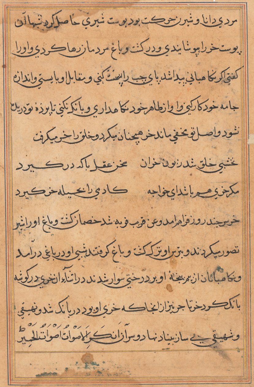 Side fra Tales of a Parrot Tuti-nama: tekstside, ca. 1560. av Unbekannt