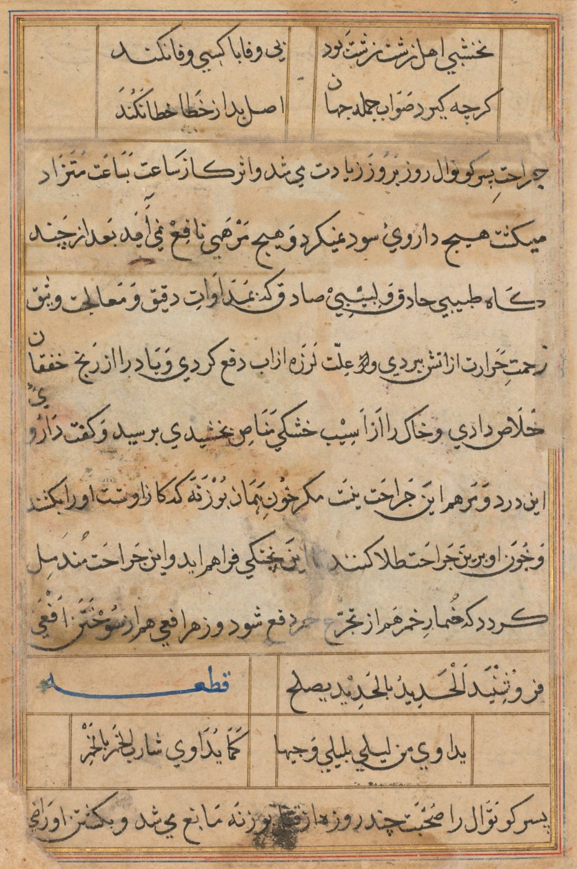 Side fra Tales of a Parrot Tuti-nama: tekstside, ca. 1560. av Unbekannt