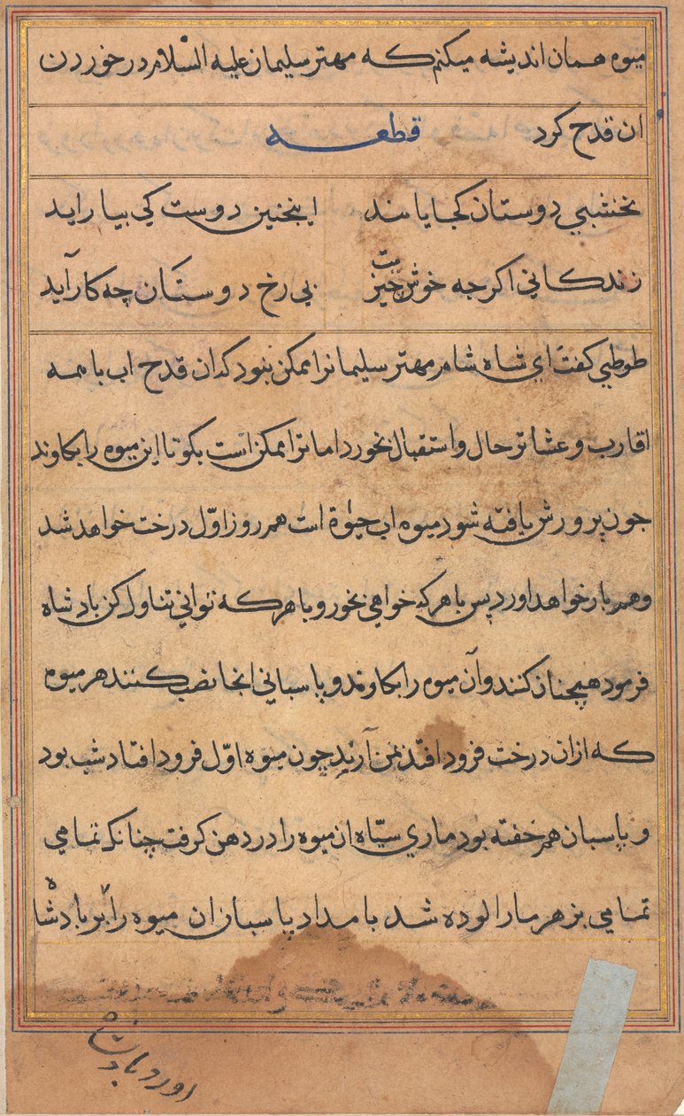 Side fra Tales of a Parrot Tuti-nama: tekstside, ca. 1560. av Unbekannt