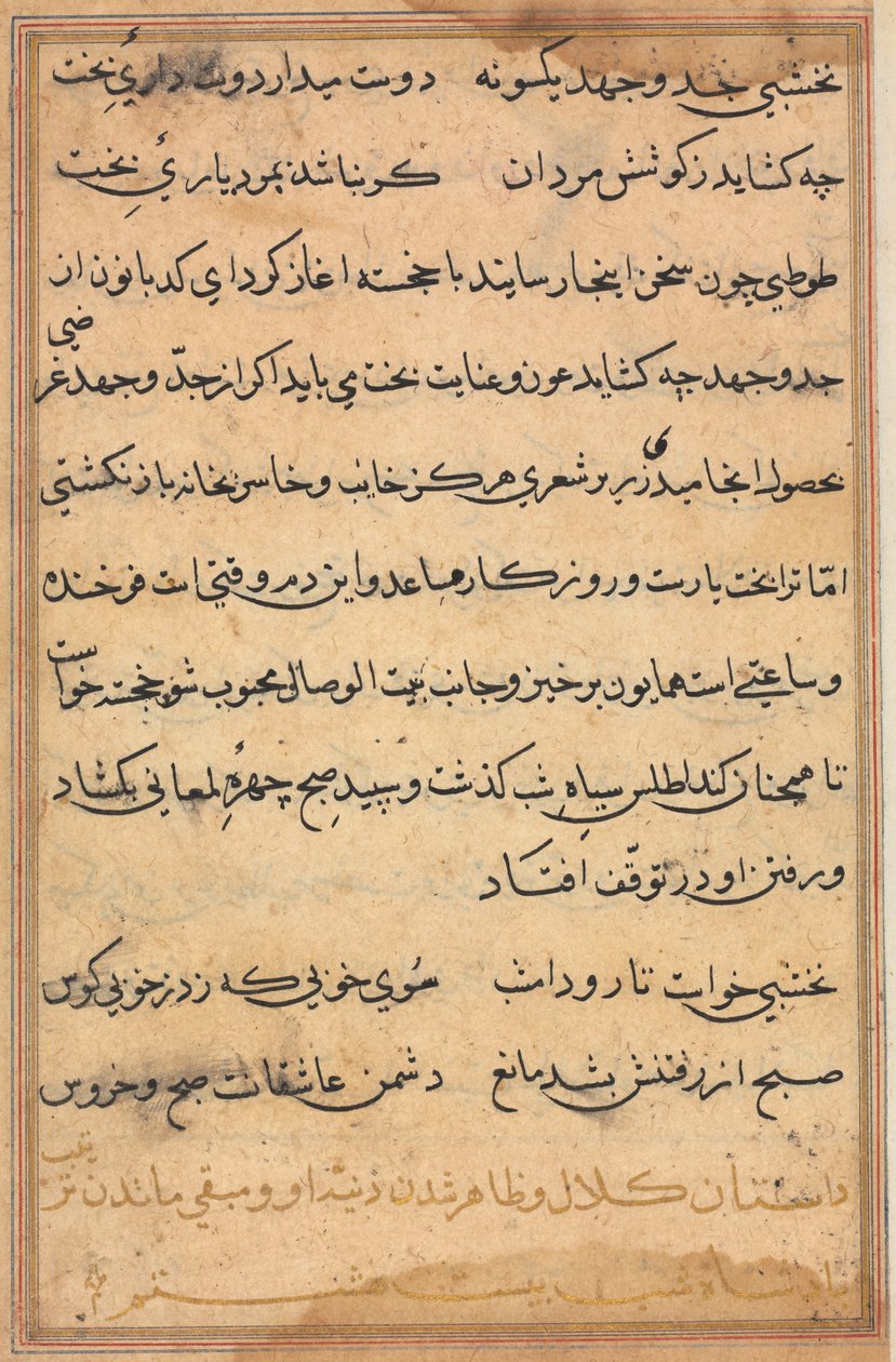 Side fra Tales of a Parrot Tuti-nama: tekstside, ca. 1560. av Unbekannt