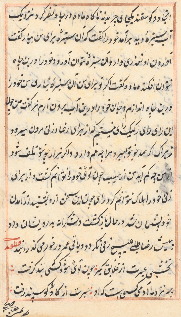 Side fra Tales of a Parrot Tuti-nama: tekstside, ca. 1560. av Unbekannt