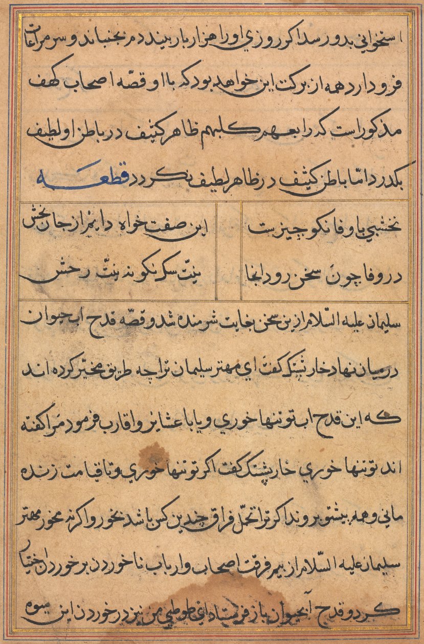 Side fra Tales of a Parrot Tuti-nama: tekstside, ca. 1560. av Unbekannt