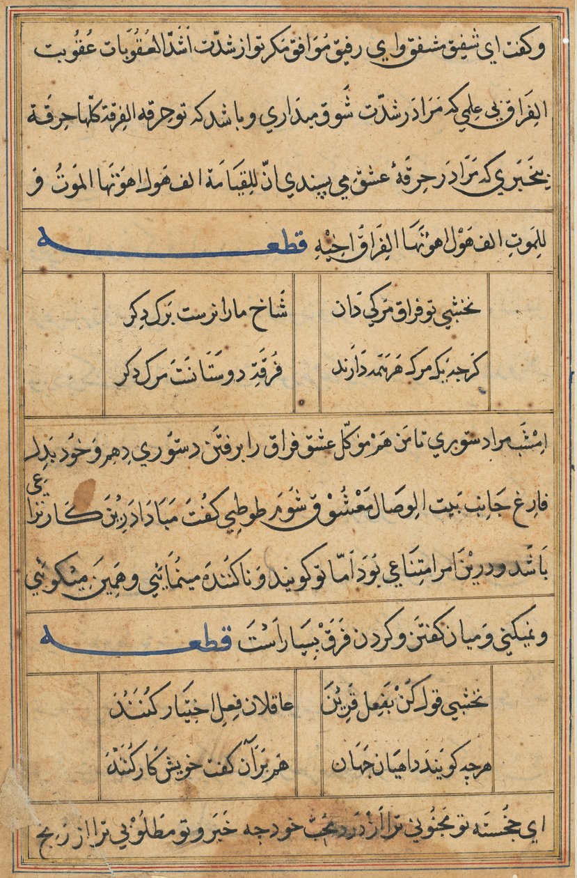 Side fra Tales of a Parrot Tuti-nama: tekstside, ca. 1560. av Unbekannt