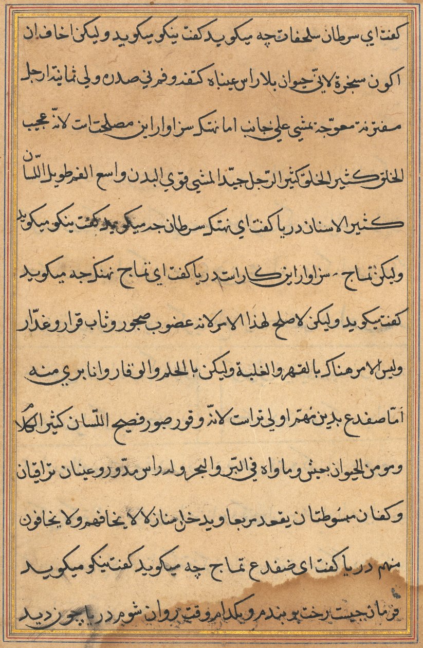 Side fra Tales of a Parrot Tuti-nama: tekstside, ca. 1560. av Unbekannt
