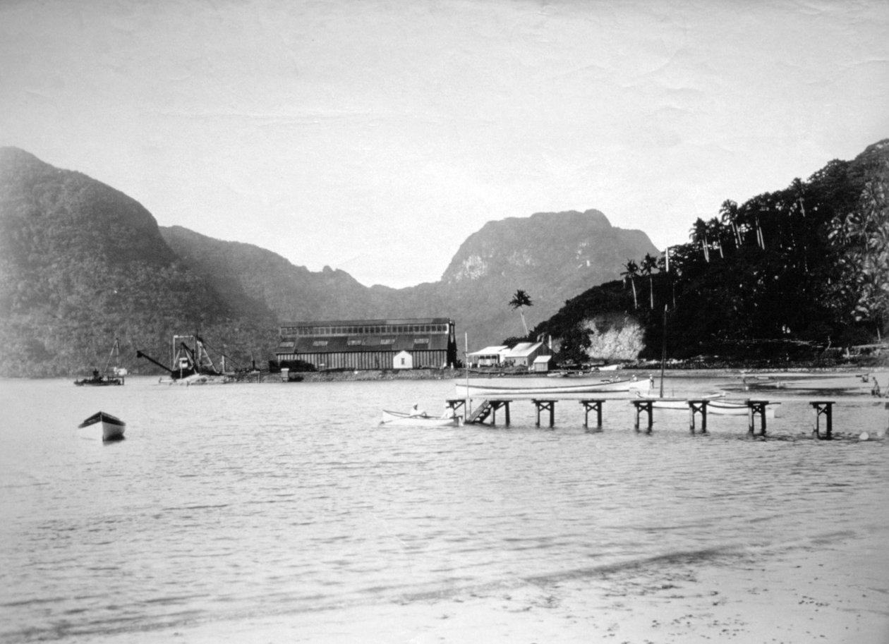 Pago Pago havn, på øya Tutuila, Amerikansk Samoa, 1889 av Unbekannt