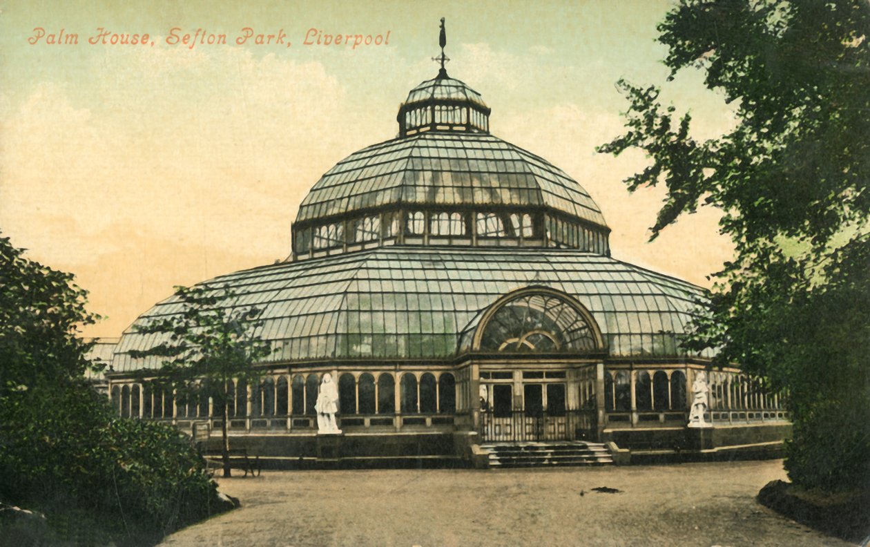 Palm House, Sefton Park, Liverpool, 1946. av Unbekannt