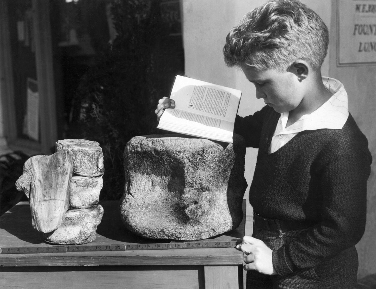 Palos Verdes, California: ca. 1927 En ung gutt studerer arkeologi med bruk av fossiliserte forhistoriske ryggvirvler funnet i de nærliggende åsene. (s/hvitt bilde) av Unbekannt