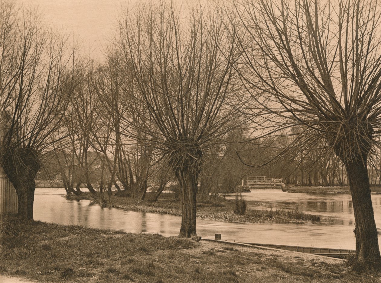 Pangbourne Weir, 1902 av Unbekannt