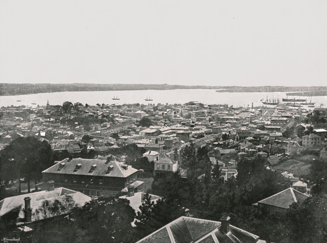Panoramautsikt fra åsene, Auckland, New Zealand, 1895. av Unbekannt